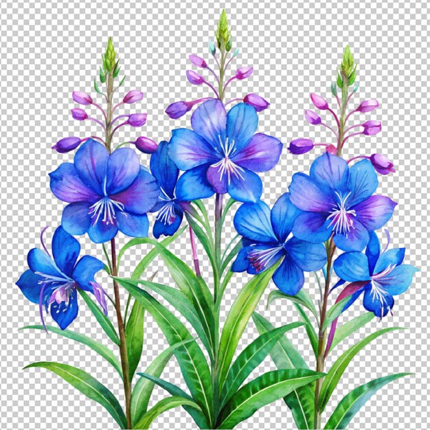 PSD wild blue flower on transparent background