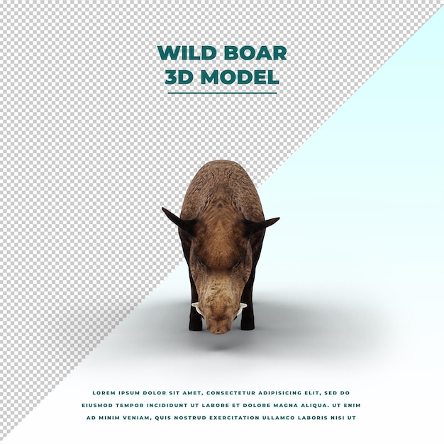 PSD wild boar isolated