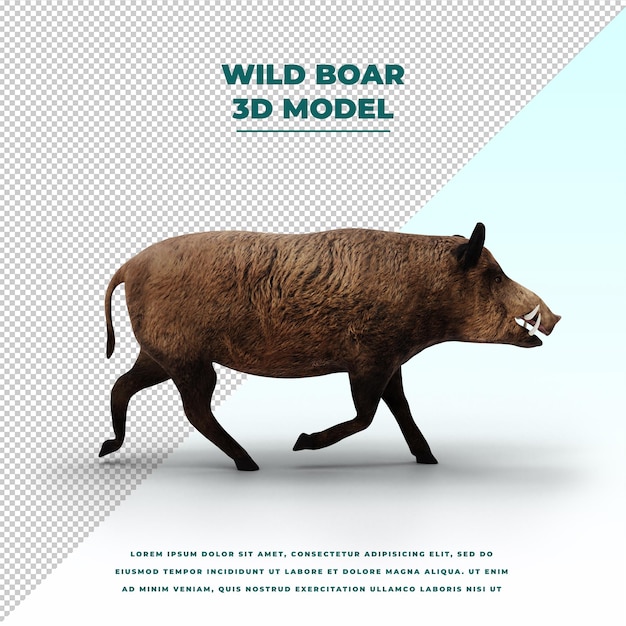 PSD wild boar isolated