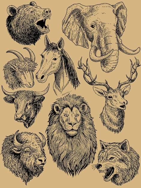 Wild leven herten-logo