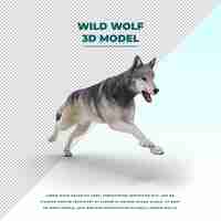 PSD wild wolf isolated