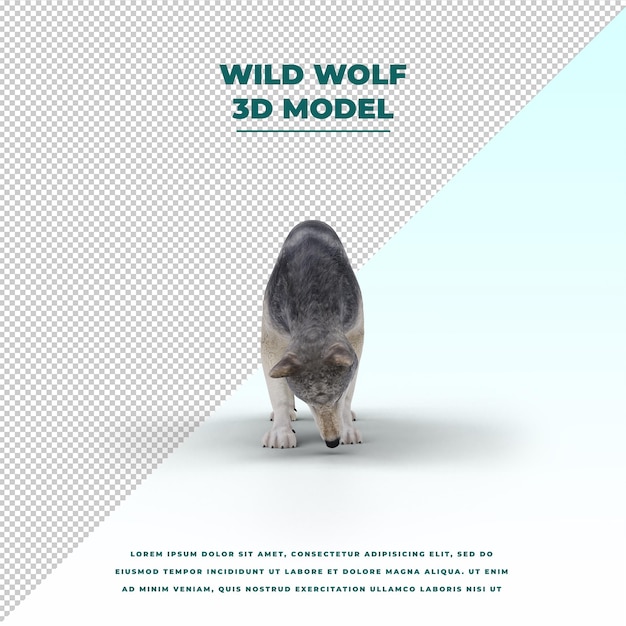 PSD wild wolf isolated