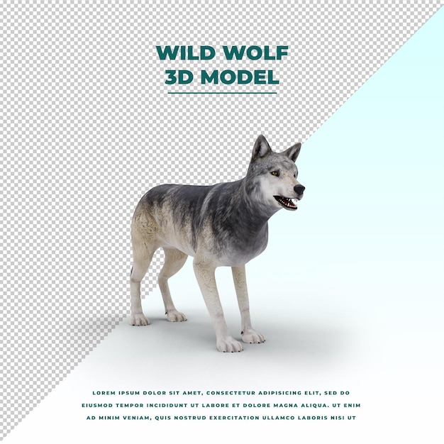 PSD wild wolf isolated