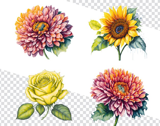 野生の花の驚異バラ、ヒマワリ、花の要素の水彩イラスト