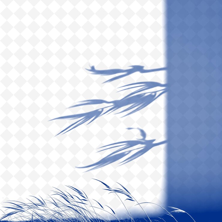 PSD wind blown grass shadows flowing and dynamic gentle curves with png shadow cast illustrations
