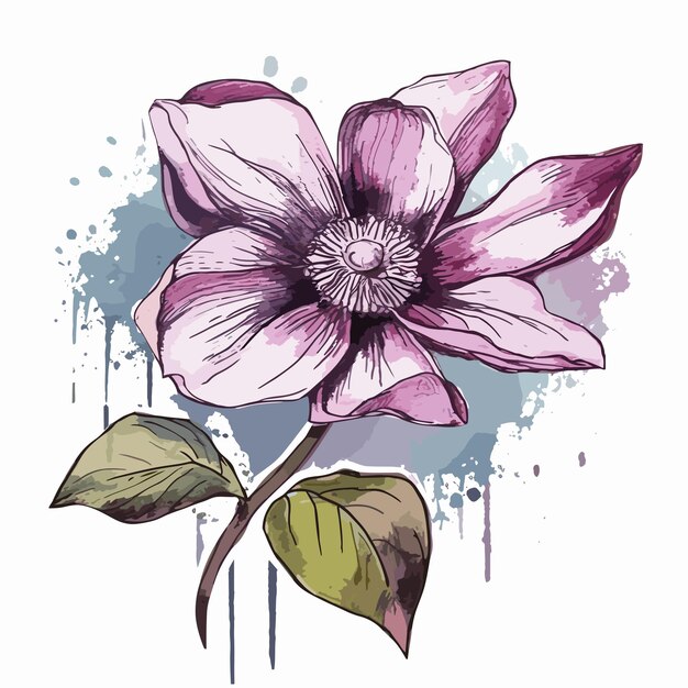 Windflower acquerello tshirt design grafico illustrazione acquerello png psd