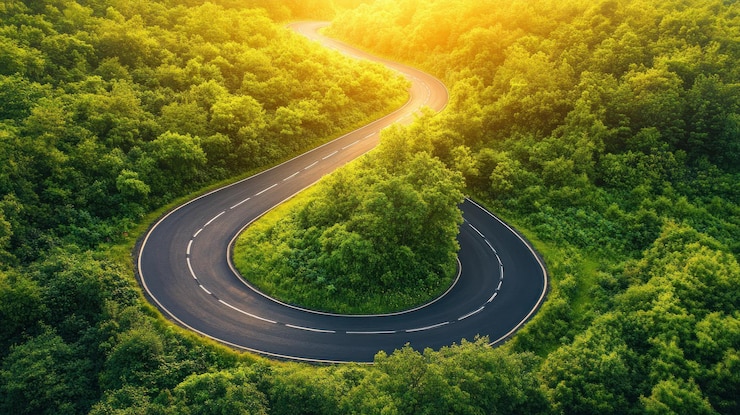 PSD winding road through lush greenery at sunset