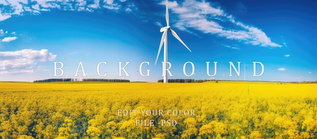 Windmill in the middle field of yellow colza rapeseed flowers and blue sky orange and yellow light