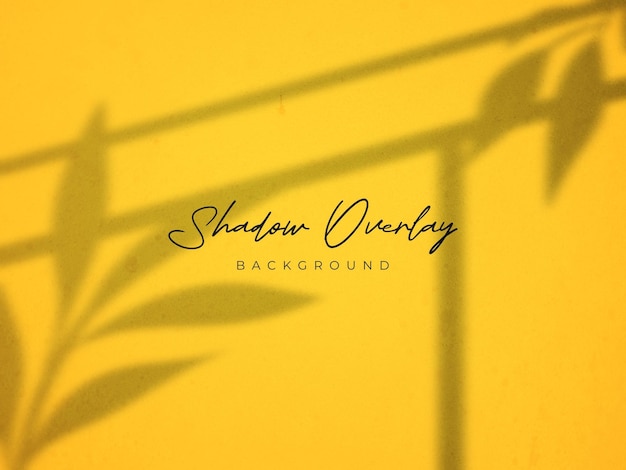 Window Frame Shadow Overlay Effect Background