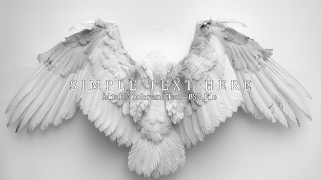 PSD wing angel white background