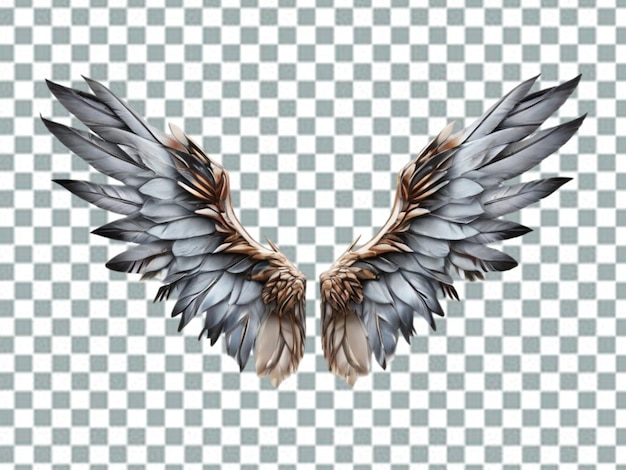 PSD wing transparent set