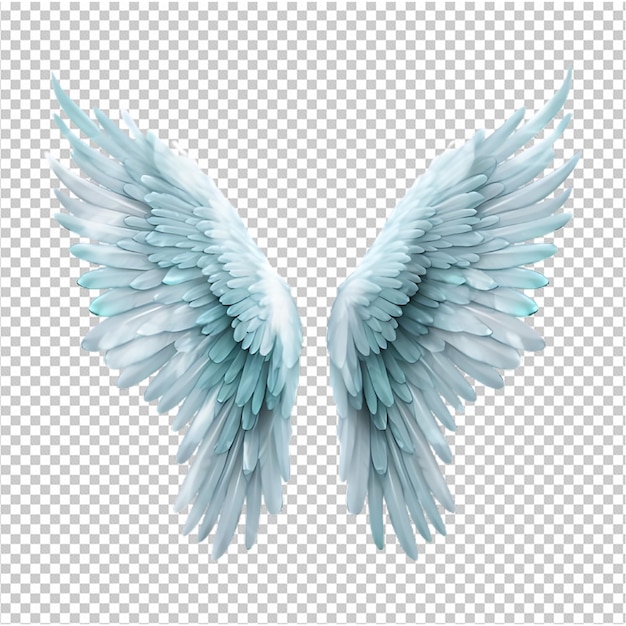 Wings of Angel Isolated on Transparent Background