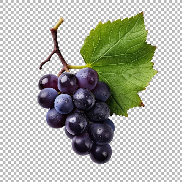 Winogrona z liściem izolowanym na przezroczystym tle