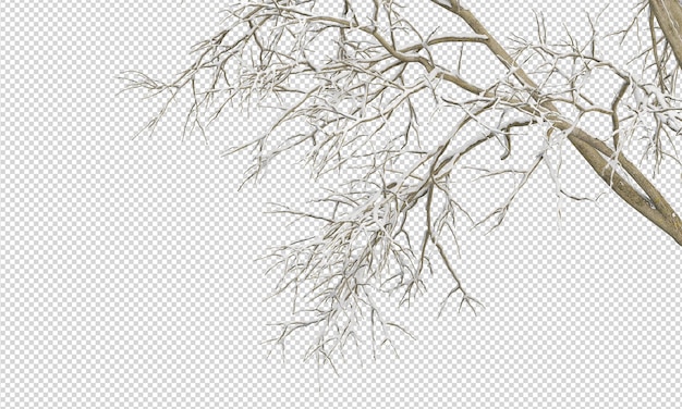 PSD winter tree branches with snow isolated