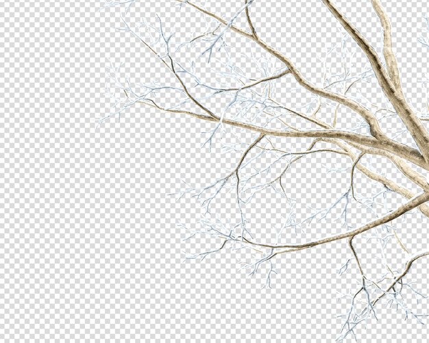 PSD winter tree isolated on white