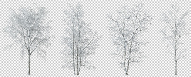 PSD winter trees snow frosted covered 3d render cutout