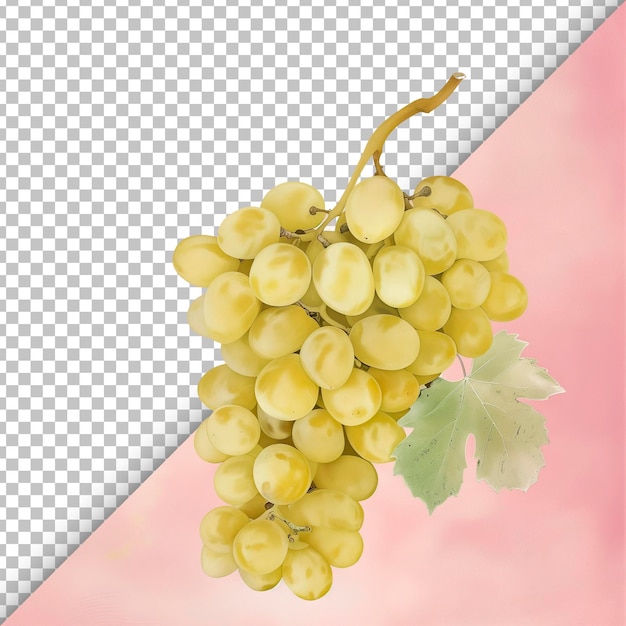 PSD witte druivenbundel met doorzichtige details