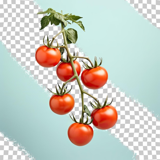 PSD witte tak met tomaten