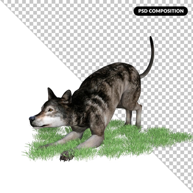 PSD wolf animal isolated 3d