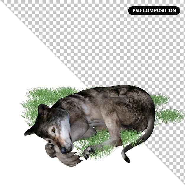 PSD wolf animal isolated 3d