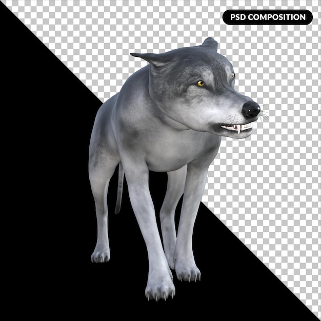 PSD lupo isolato rendering 3d