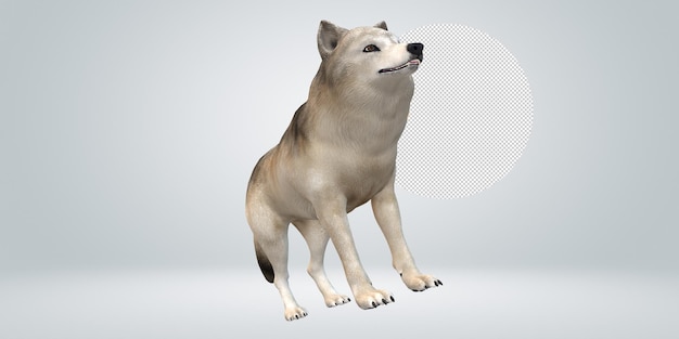 Wolf isolated on a Transparent Background