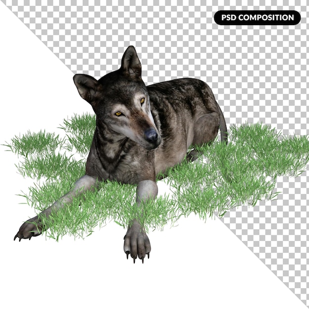 Wolfsdier geïsoleerde 3D
