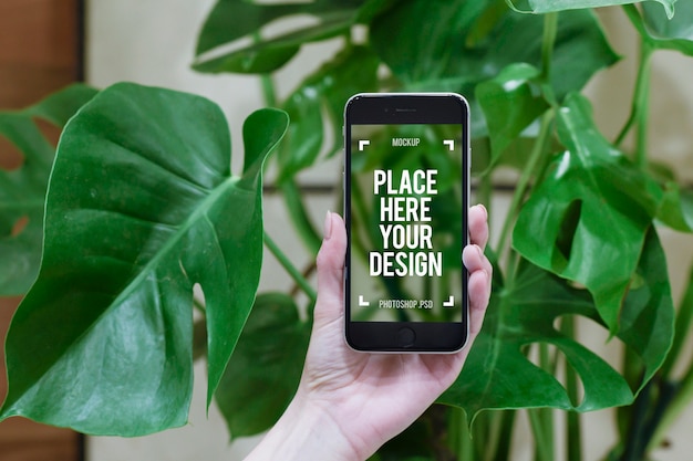 Woman Hand Holding Modern Smartphone front plant 