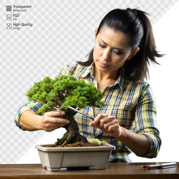 PSD woman meticulously trimming a bonsai tree on a desk