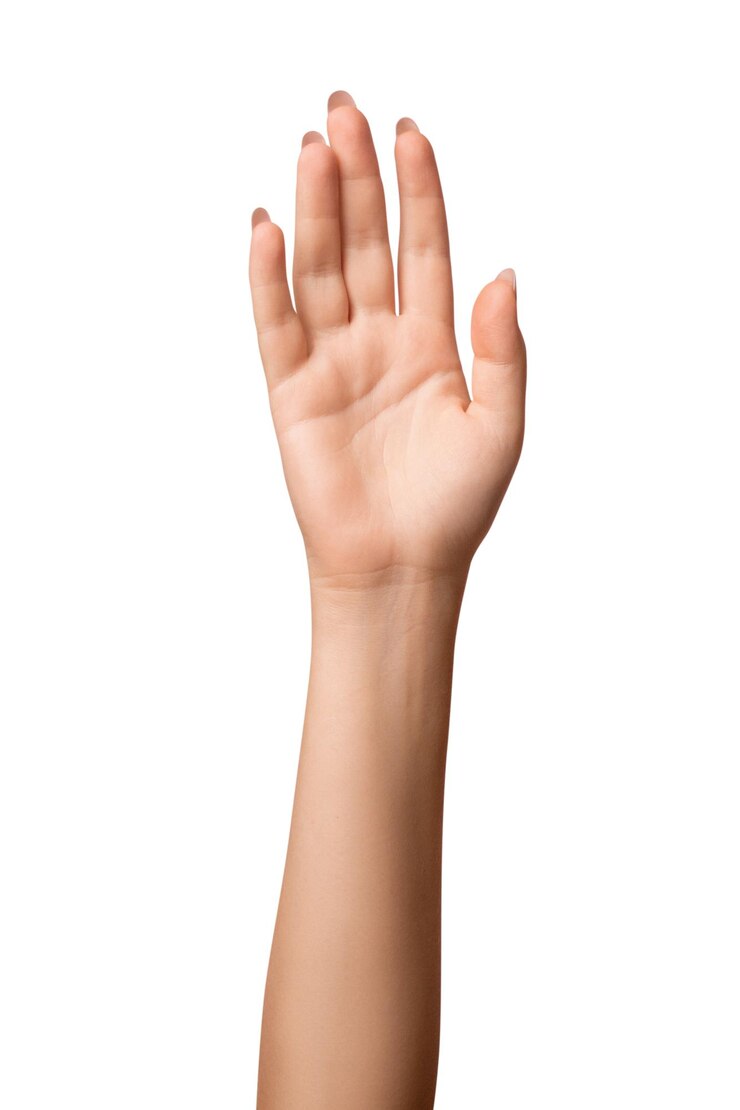 PSD woman's hand on isolated transparent background