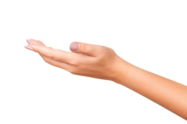 Woman's hand on isolated transparent background