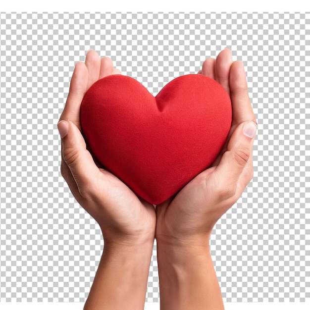 Women hand holding heart heart disease concept