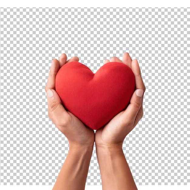 Women hand holding heart heart disease concept