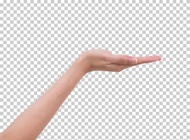 PSD women hand isolated