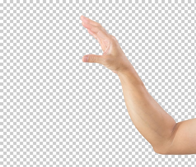 Premium PSD | Women hand isolated