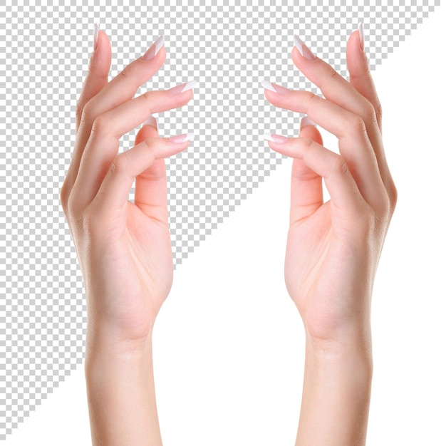 women hand for product women hand png transparent psd