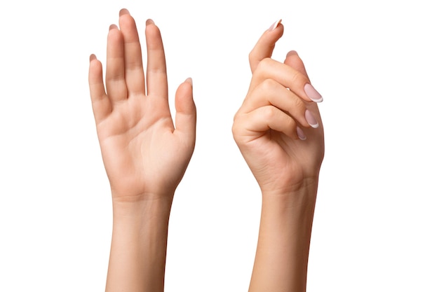 Women's hands on isolated transparent background