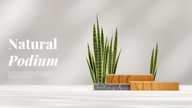 Wood and marble podium rendering 3d mockup in landscape with snake plant and shadow white wall