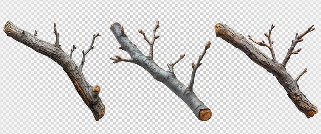 PSD wooden branch isolated on transparent background dry wooden stalk generative ai