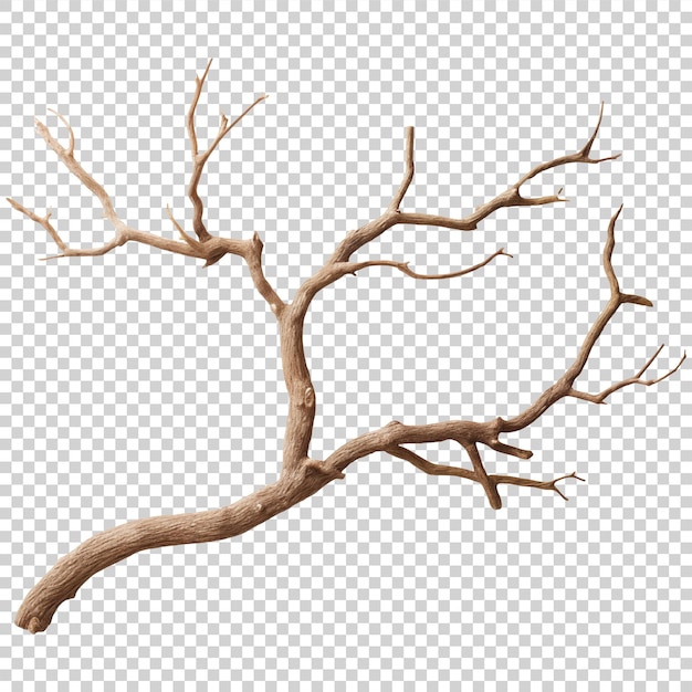 wooden branch isolated on a transparent background