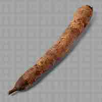 PSD a wooden crayon with a brown stem on it