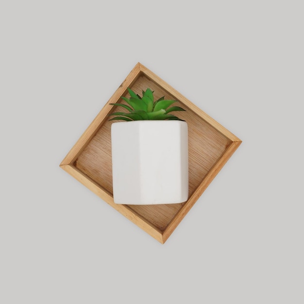 Wooden wall hanging of mini cactus pot artificial isolated