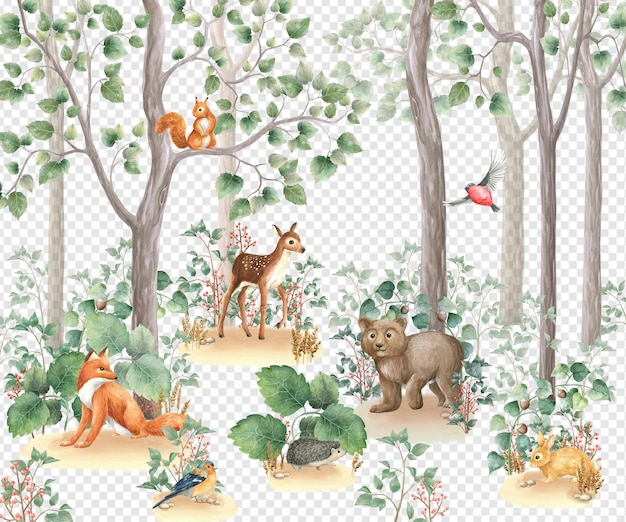 woodland forest psd layered transparent watercolor illustration