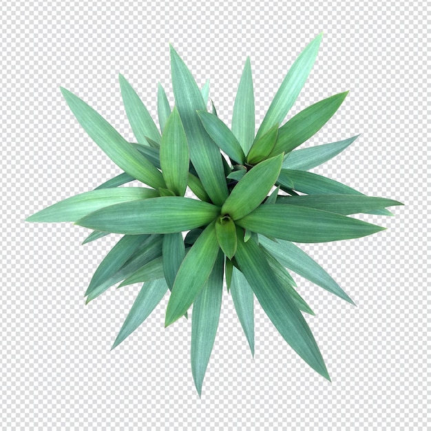 woondecoratie decora Boom
