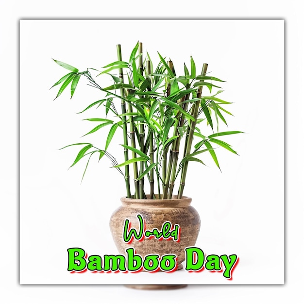 世界竹の日 雨の滴をつけた自然竹の枝をソーシャルメディアのポストデザインに