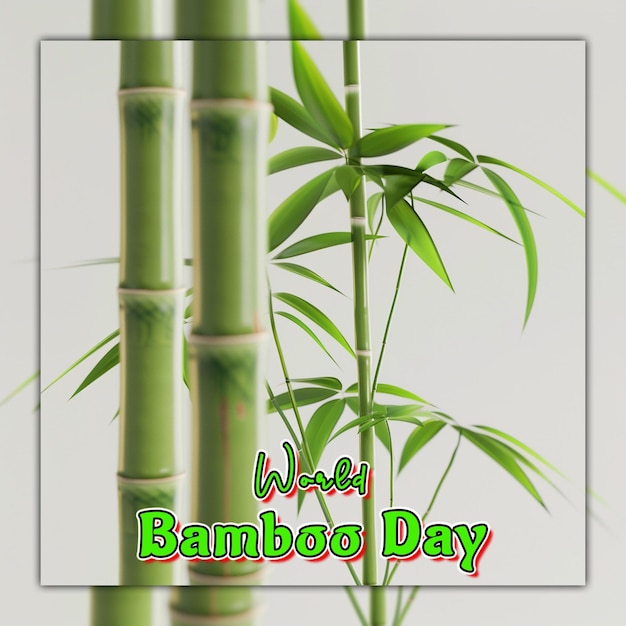 World bamboo day nature bamboo branches with rain drops for social media post design