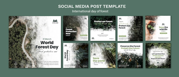 Modello di post di instagram per la giornata mondiale della foresta