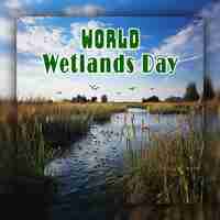 PSD world wetlands day background