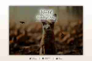 PSD world wildlife day graphic and social media design template