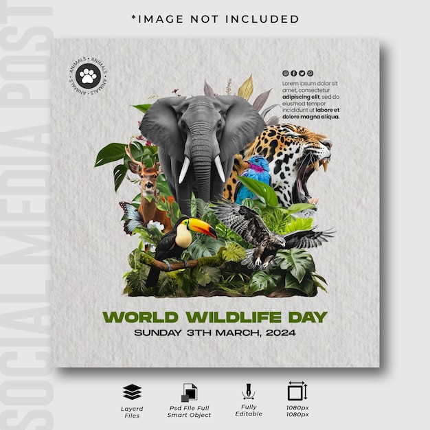 PSD world wildlife day instagram post design template